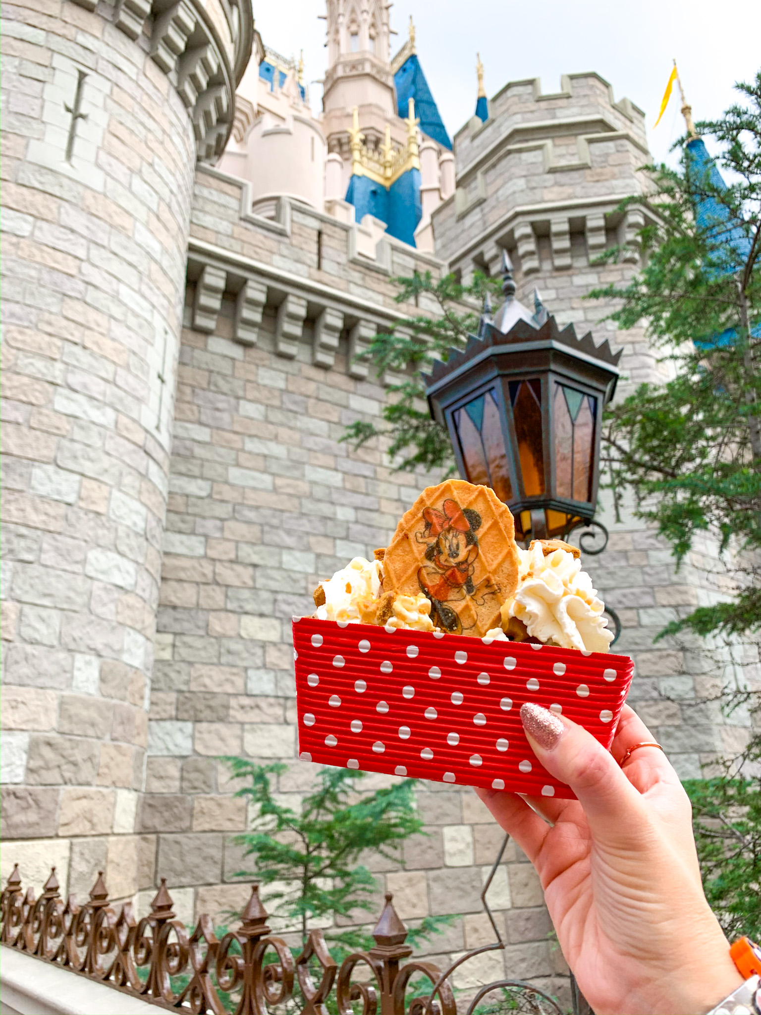 Walt Disney World Food